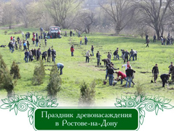День древонасаждений в Ростовской области