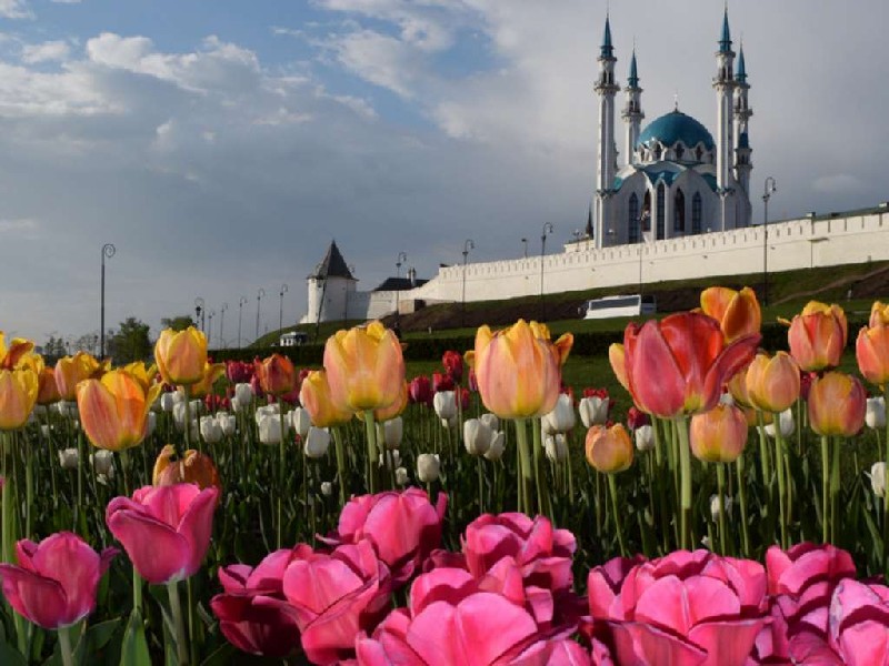 Kazan 1 may 5.jpg