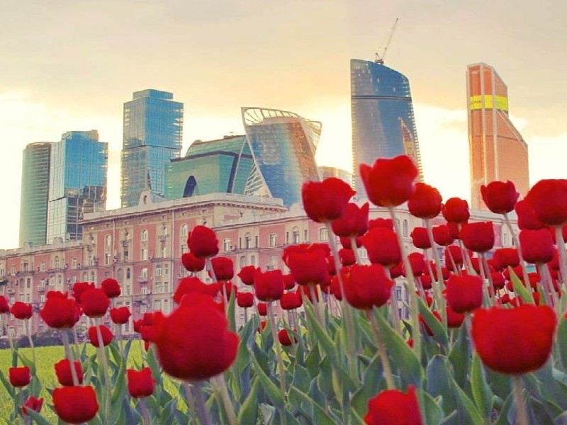 Moskva 1may1.jpg