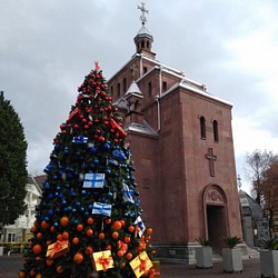 Рождественский тур в Сочи из Ростова-на-Дону